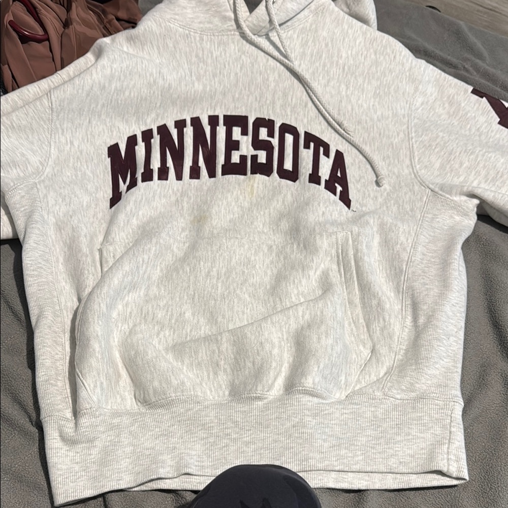 Gray Minnesota Hoodie